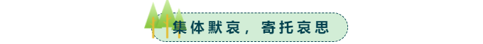 11.png 11.png